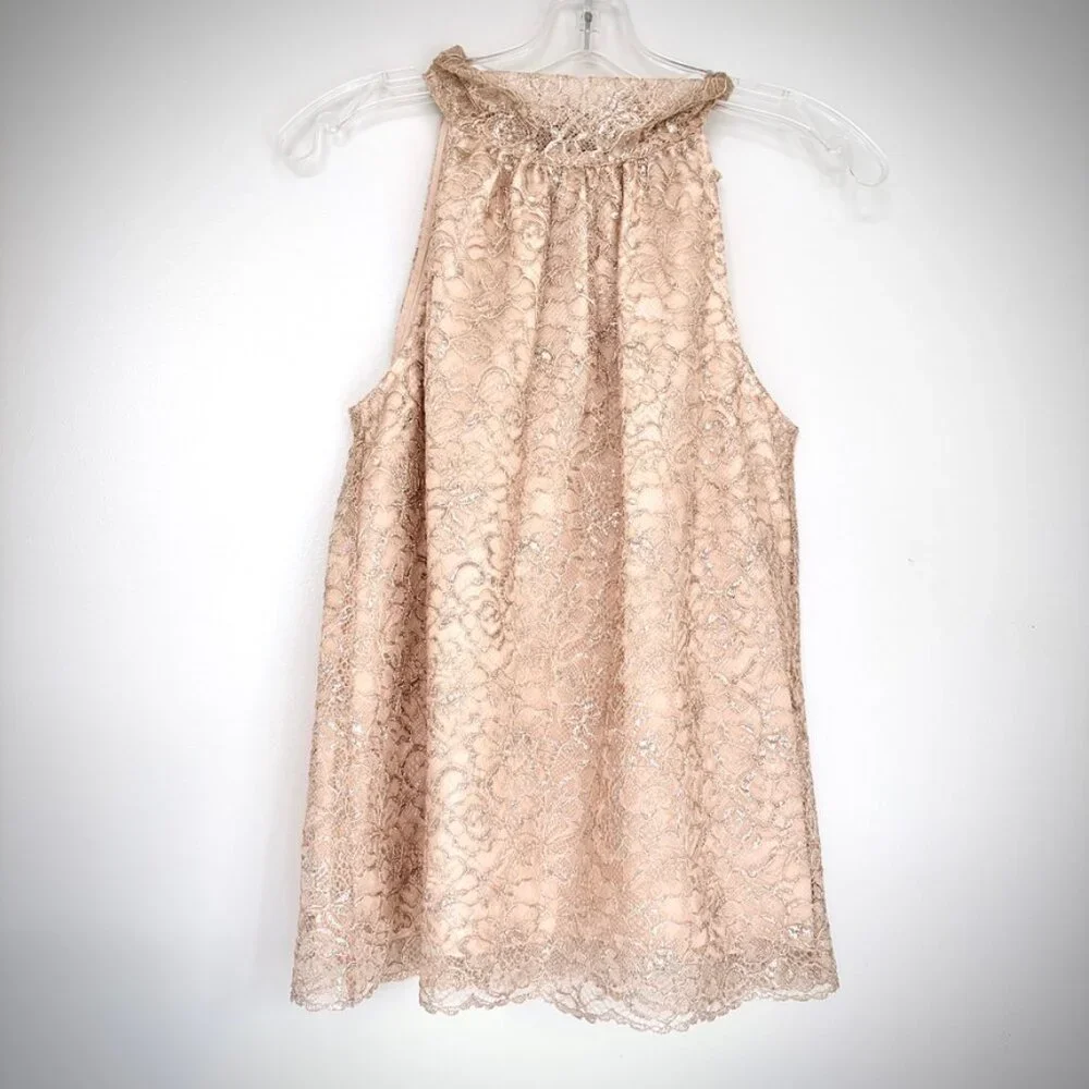 J. Crew Metallic Lace Tie Neck Sleeveless Top in Blush, Small